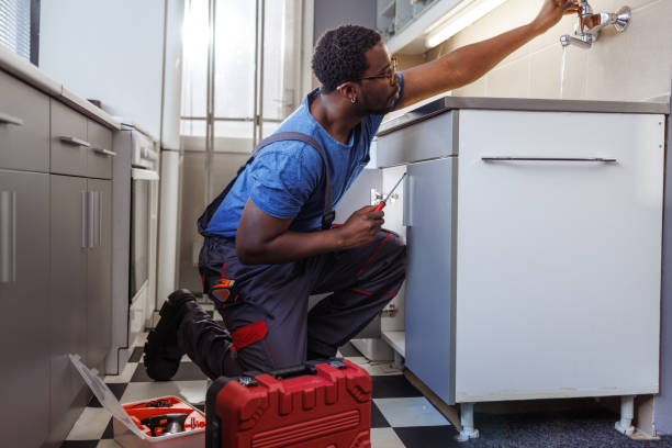 Professional Plumbing in College, AK