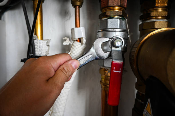 Best Toilet Repair Services  in College, AK